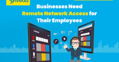 Businesses Need Remote Network Access for Their Employees