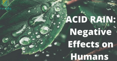 Effects of ACID Rain on Humans | Acid Rain Effects on Humans