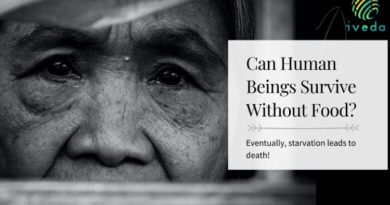 Can Human Beings Survive Without Food